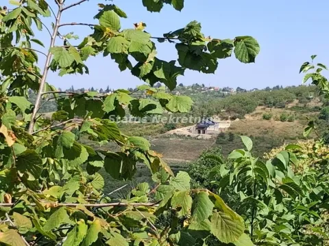 Prodaja, kuća, 30m², Ledinci, Petrovaradin - image 23