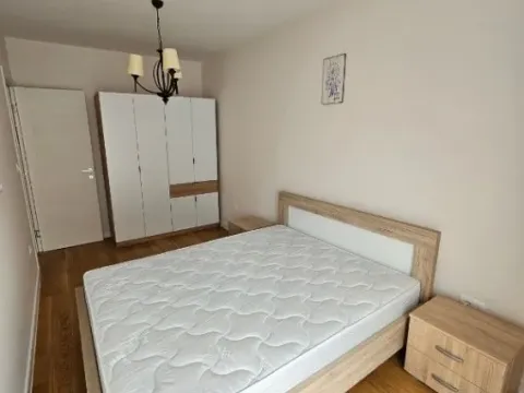 Izdavanje, jednosoban stan, 41m², Central Point, Podgorica - image 2