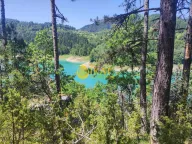 Prodaja, plac, Tara, Srbija - image 5