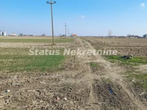 Prodaja, plac, 2500m², Futog, Novi Sad Sve Podlokacije - image 7