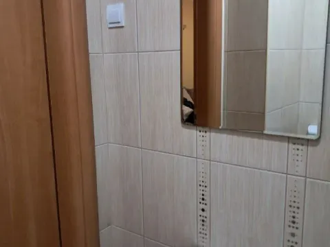 Rent, one bedroom apartment, 48m², Zabjelo, Podgorica - image 8