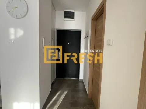 Izdavanje, jednosoban stan, 45m², Pobrežje, Podgorica - image 9