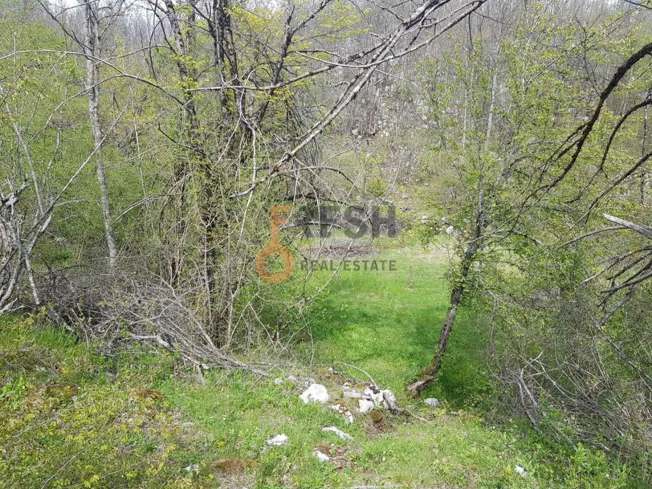 Prodaja, plac, 189352m², Cetinje, Crna Gora