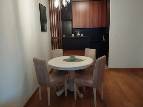 Izdavanje, stan, 48m², City Kvart, Podgorica - image 6