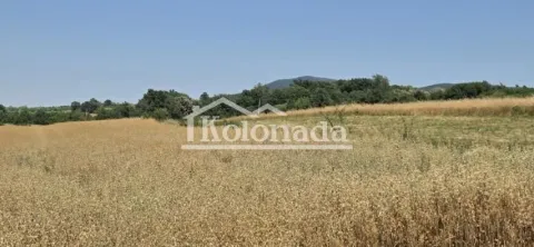 Prodaja, plac, 1000m², Sopot, Beograd - image 2