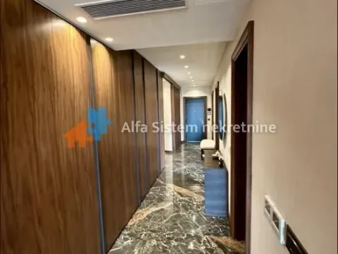 Izdavanje, stan, 350m², Južni Bulevar, Vračar Sve Podlokacije - image 6