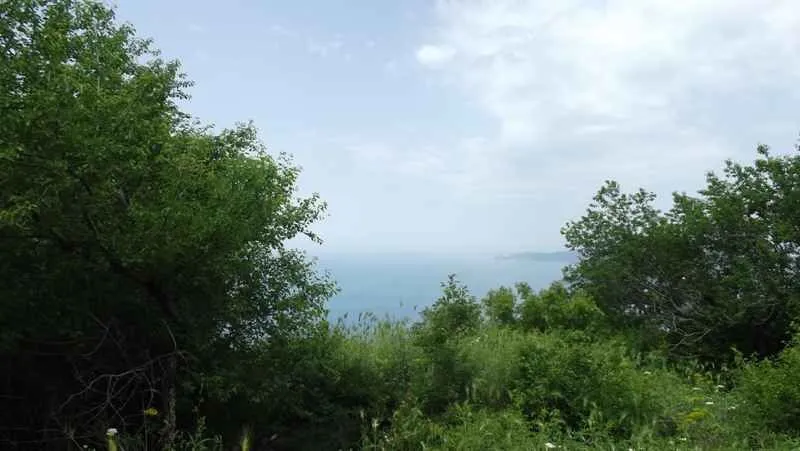 Pogled na more i okolno zelenilo sa parcele.