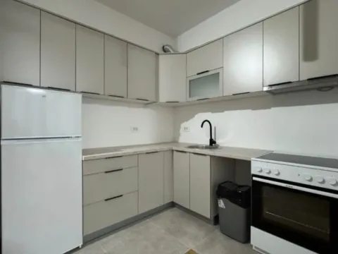 Rent, one bedroom apartment, 46m², Stari Aerodrom, Podgorica - image 3