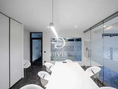 Rent, office space, 303m², Donji Dorćol, Dorćol Sve Podlokacije - image 9