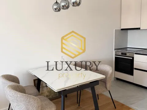 Rent, one bedroom apartment, 49m², Central Point, Podgorica - image 4