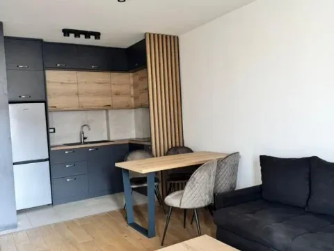 Rent, one bedroom apartment, 42m², Sajmište, Novi Sad