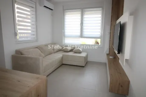 Prodaja, jednosoban stan, 39m², Telep, Novi Sad Sve Podlokacije - image 2