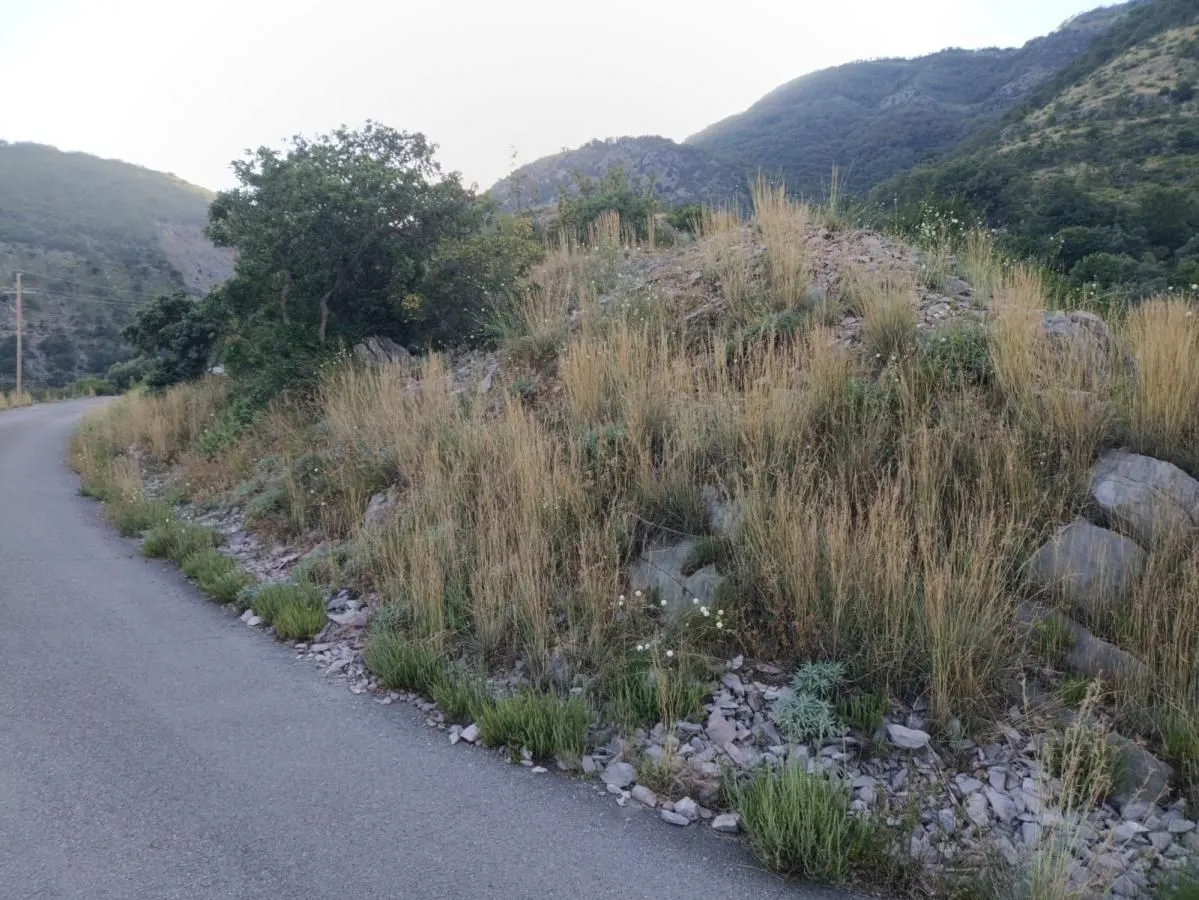 Asfaltni put pored parcele u brdovitom predjelu.
