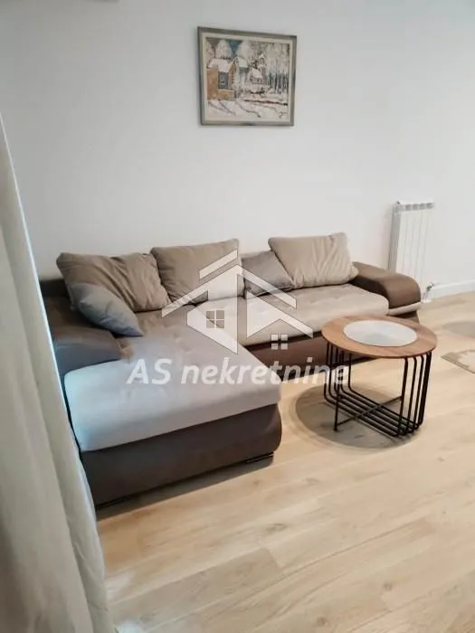 Rent, two bedroom apartment, 52m², Novi Beograd Blok 65, Novi Beograd Sve Podlokacije