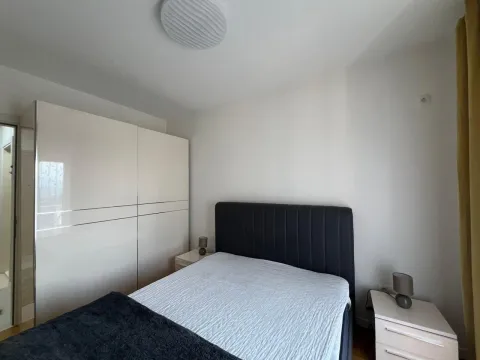 Izdavanje, jednosoban stan, 49m², Central Point, Podgorica - image 7