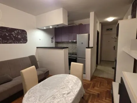 Izdavanje, garsonjera, 22m², Bulevar patrijarha Pavla, Novi Sad Sve Podlokacije
