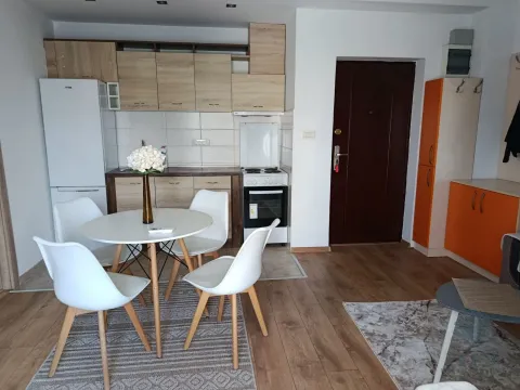 Rent, one bedroom apartment, 46m², Zabjelo, Podgorica - image 4