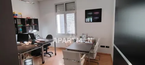 Izdavanje, poslovni prostor, 100m², Botanička Bašta, Palilula Sve Podlokacije - image 3