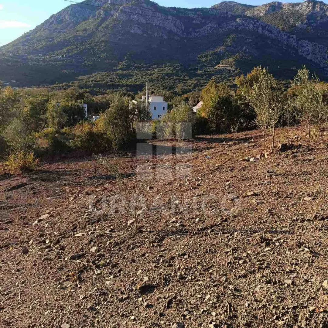Prodaja, plac, 4800m², Bjeliši, Bar