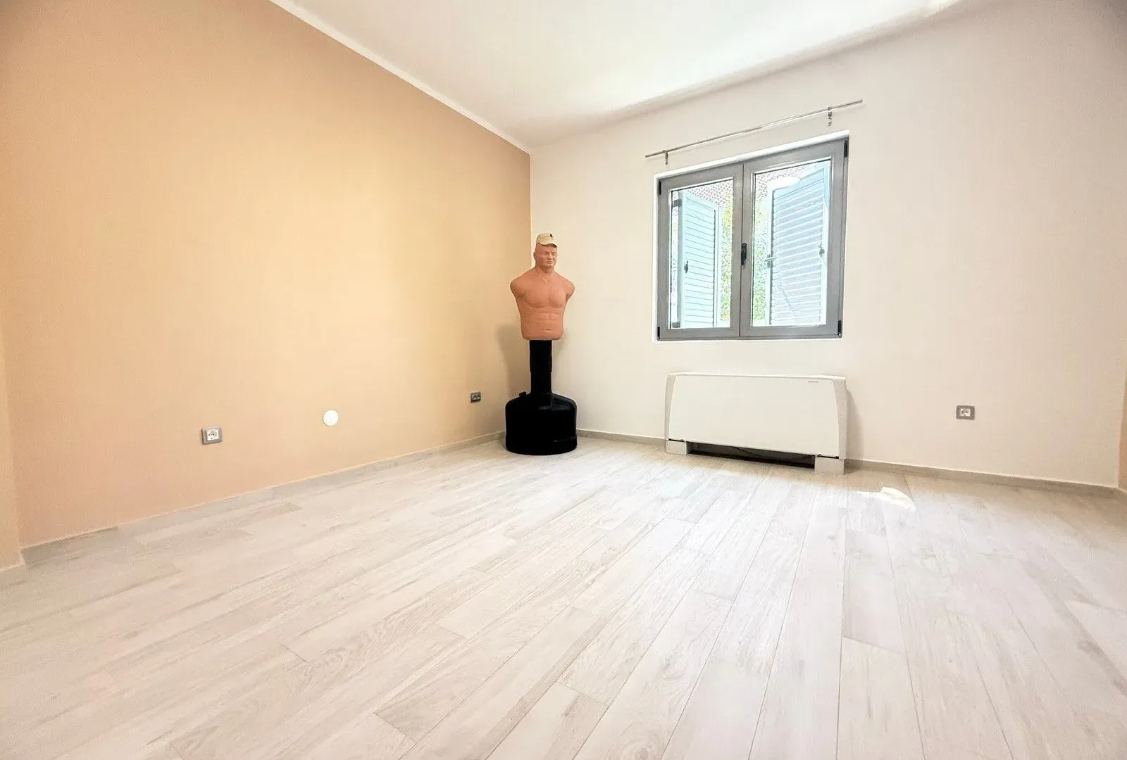 Rent, house, 320m², Podgorica, Crna Gora