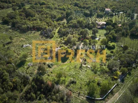 Sale, land lot, 33727m², Ostalo, Podgorica