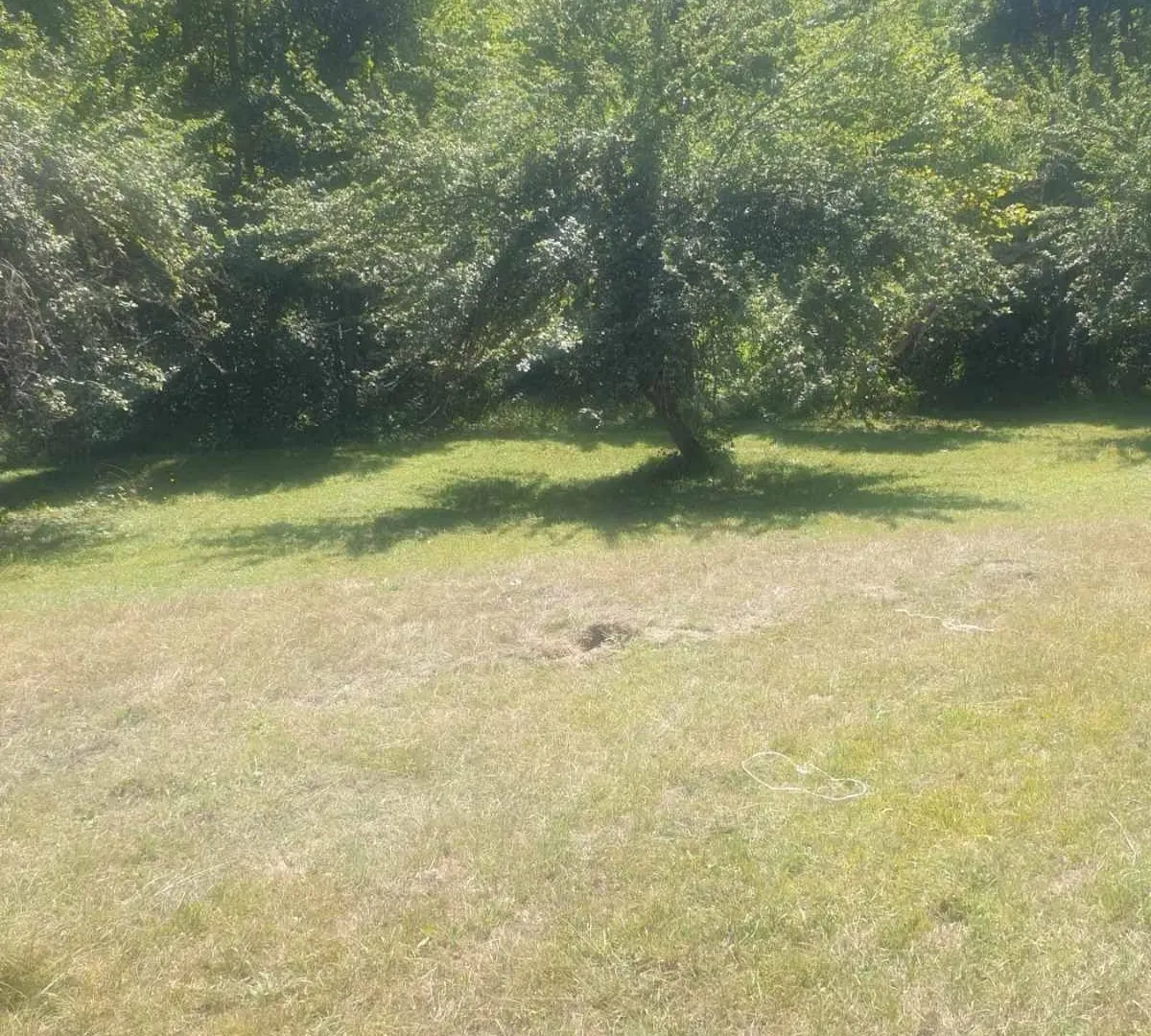Prodaja, plac, 600m², Kolašin, Crna Gora