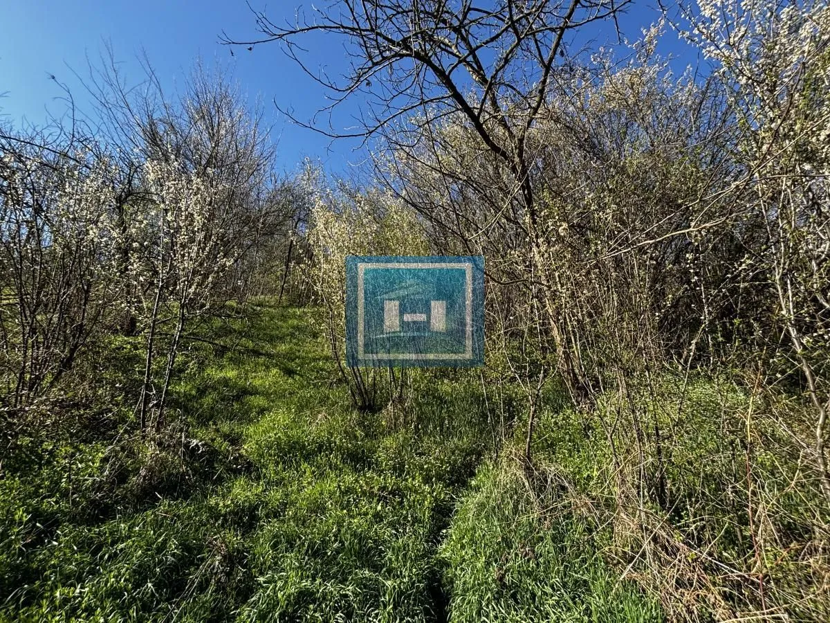 Sale, house, 60m², Miloševo, Jagodina