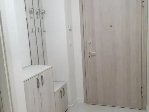 Izdavanje, jednosoban stan, 49m², Central Point, Podgorica - image 4