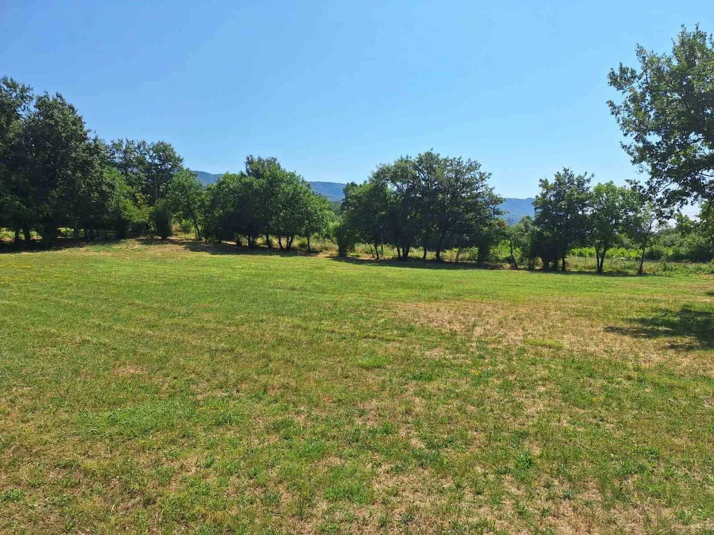 Prodaja, plac, 4751m², Donji Martinići, Danilovgrad