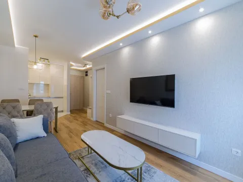 Prodaja, jednosoban stan, 42m², Central Point, Podgorica - image 9