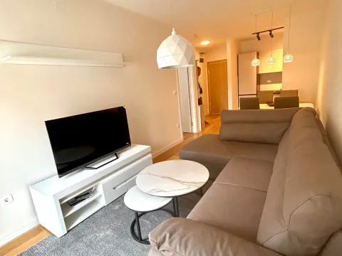 Izdavanje, jednosoban stan, 42m², Central Point, Podgorica - image 4
