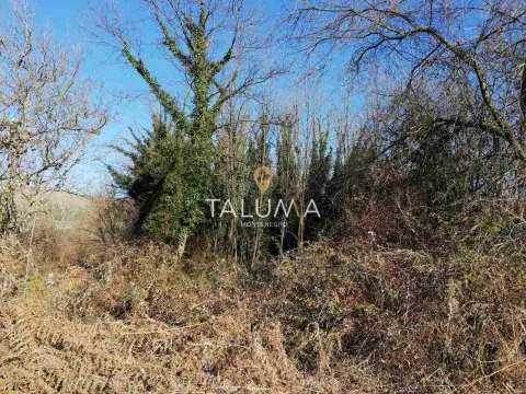 Prodaja, plac, 6100m², Orja Luka, Danilovgrad - image 2