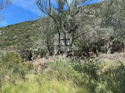 Prodaja, plac, 2000m², Bratica, Ulcinj - image 3