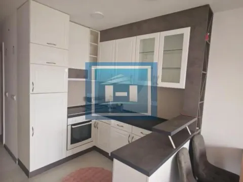 Izdavanje, garsonjera, 35m², Centar, Paraćin - image 5