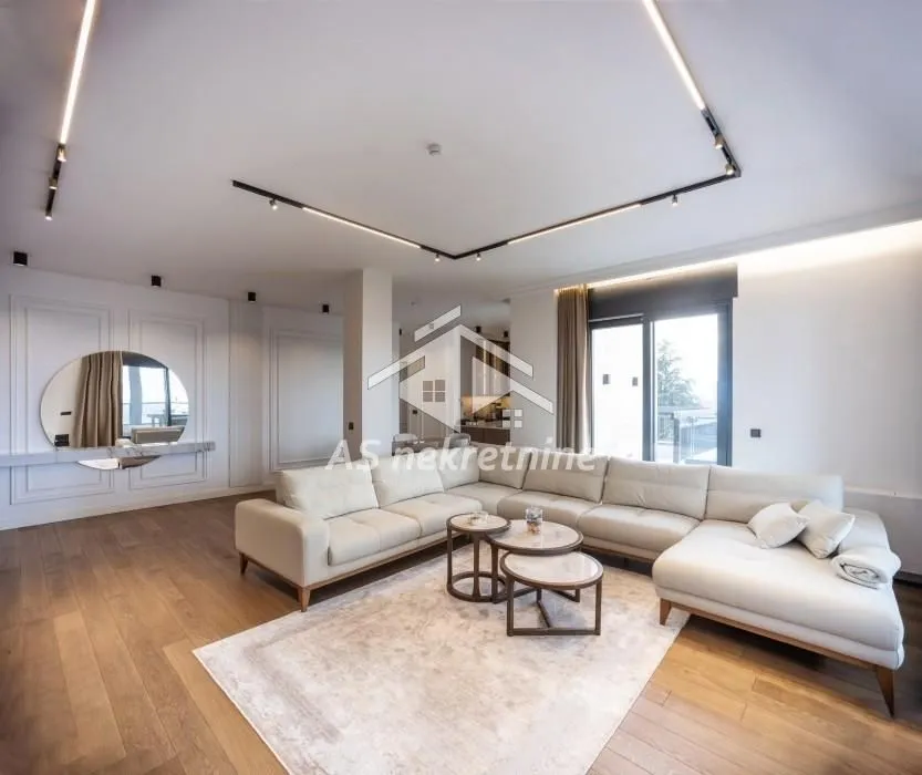 Izdavanje, stan, 232m², Banovo Brdo, Beograd