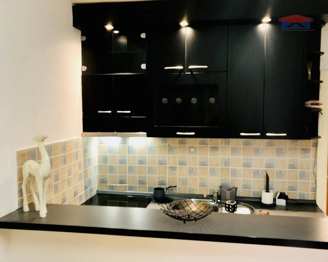 Izdavanje, garsonjera, 22m², Grbavica, Novi Sad Sve Podlokacije