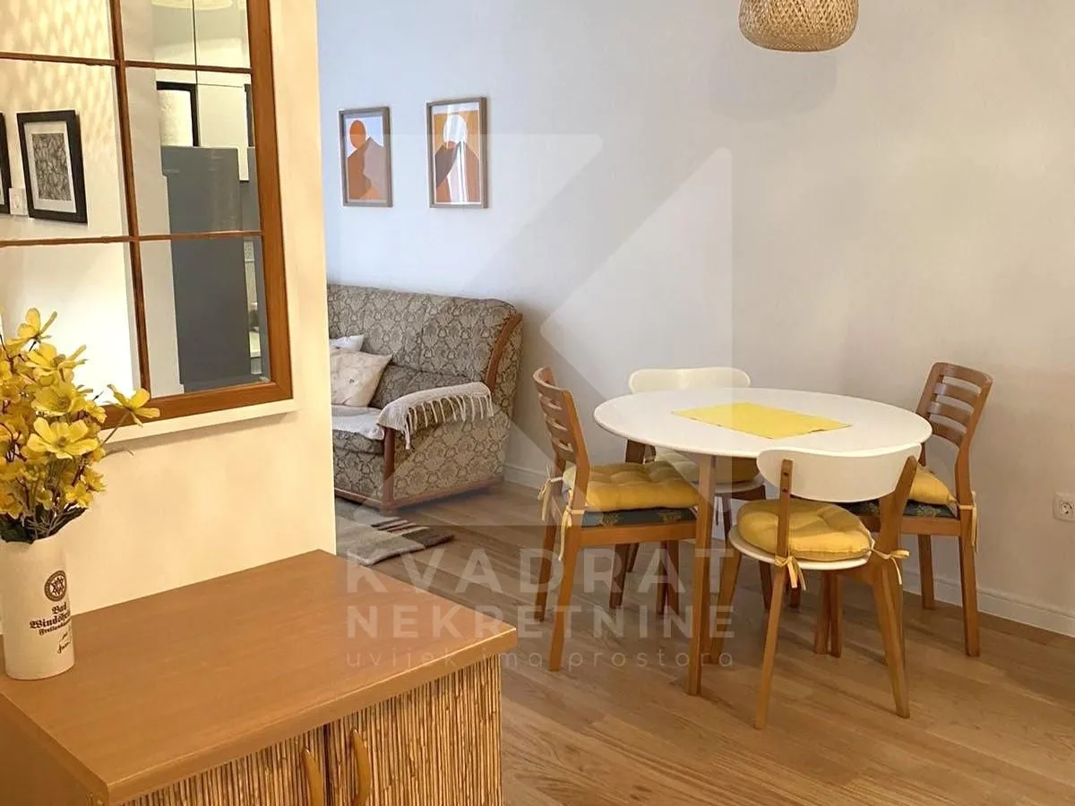 Rent, one bedroom apartment, 40m², Central Point, Podgorica