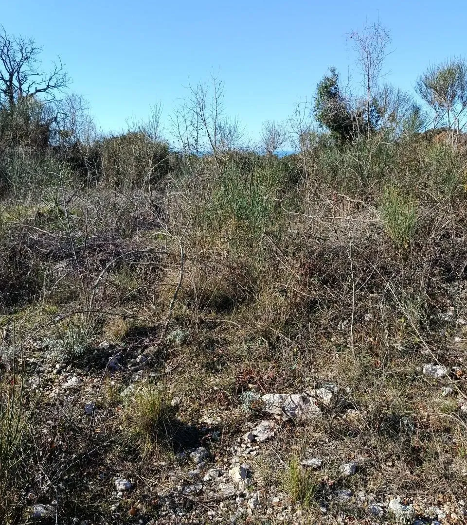 Prodaja, plac, 100076m², Kunje, Bar