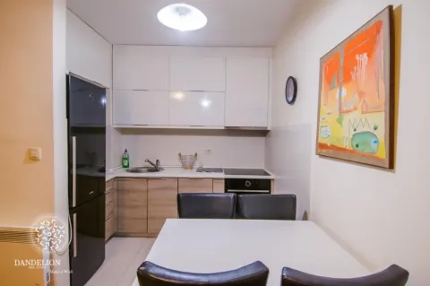 Rent, one bedroom apartment, 43m², Stari Aerodrom, Podgorica - image 2