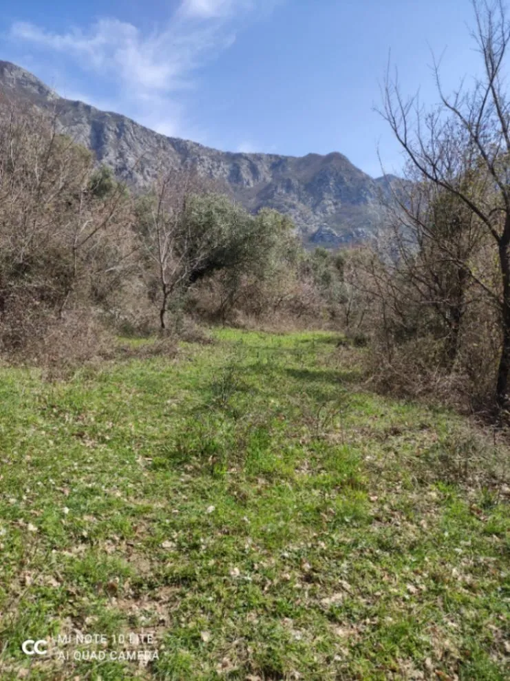 Prodaja, plac, 10490m², Risan, Kotor