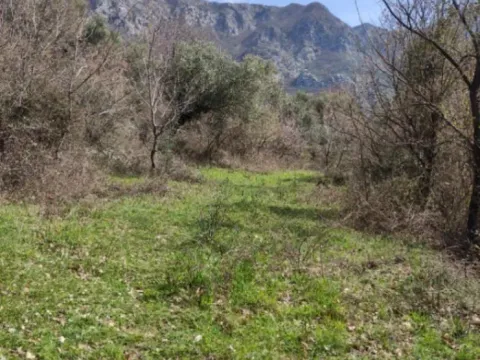 Prodaja, plac, 11000m², Risan, Kotor - image 2