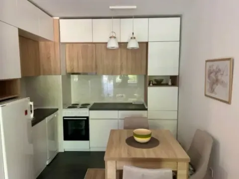 Izdavanje, jednosoban stan, 40m², Blok 5, Podgorica - image 4