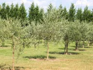 Prodaja, kuća, 122m², Golubovci, Podgorica - image 4