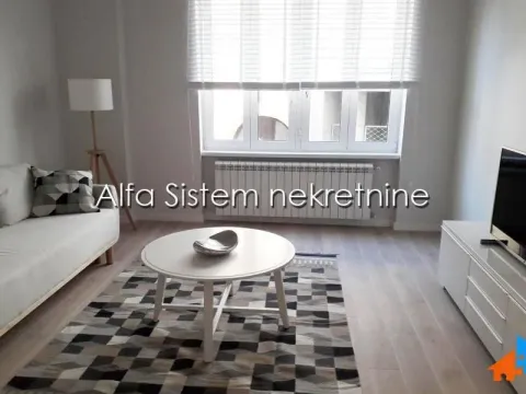 Izdavanje, dvosoban stan, 50m², Stari Grad, Beograd - image 2