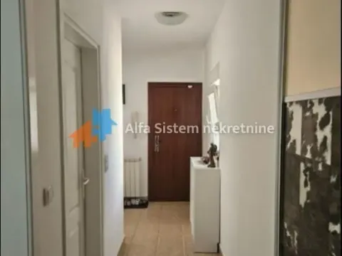 Izdavanje, stan, 104m², Lion, Zvezdara Sve Podlokacije - image 6