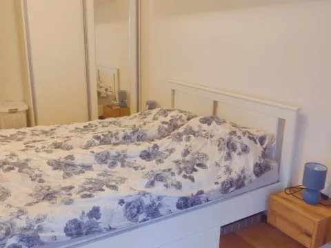 Prodaja, jednosoban stan, 40m², Central Point, Podgorica - image 15