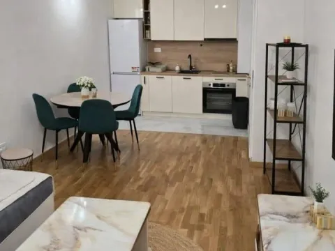 Rent, one bedroom apartment, 43m², Zagorič, Podgorica - image 3