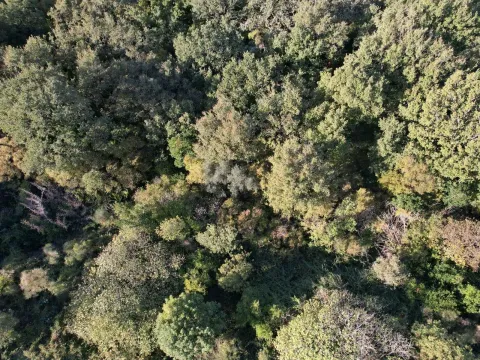 Prodaja, plac, 511m², Reževići, Budva - image 2