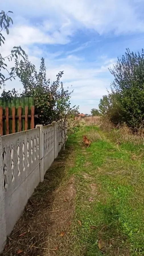 Prodaja, plac, 660m², Jagodina, Srbija