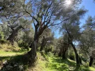 Prodaja, plac, 3700m², Zaljevo, Bar - image 7